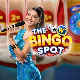 The Bingo Spot at PlayAmo Casino