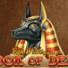 Book of Dead at PlayAmo Casino